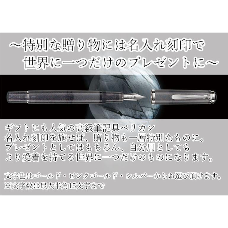 Pelikan（ペリカン） 万年筆 メンズ レディース クラシック M205