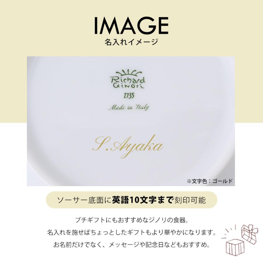 Richard Ginori リチャードジノリ ティーカップ&ソーサー 240ml Richard Ginori リチャードジノリ ティーカップ&ソーサー 240ml