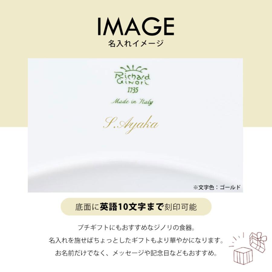Richard Ginori（リチャードジノリ） プレート クレセント 24cm