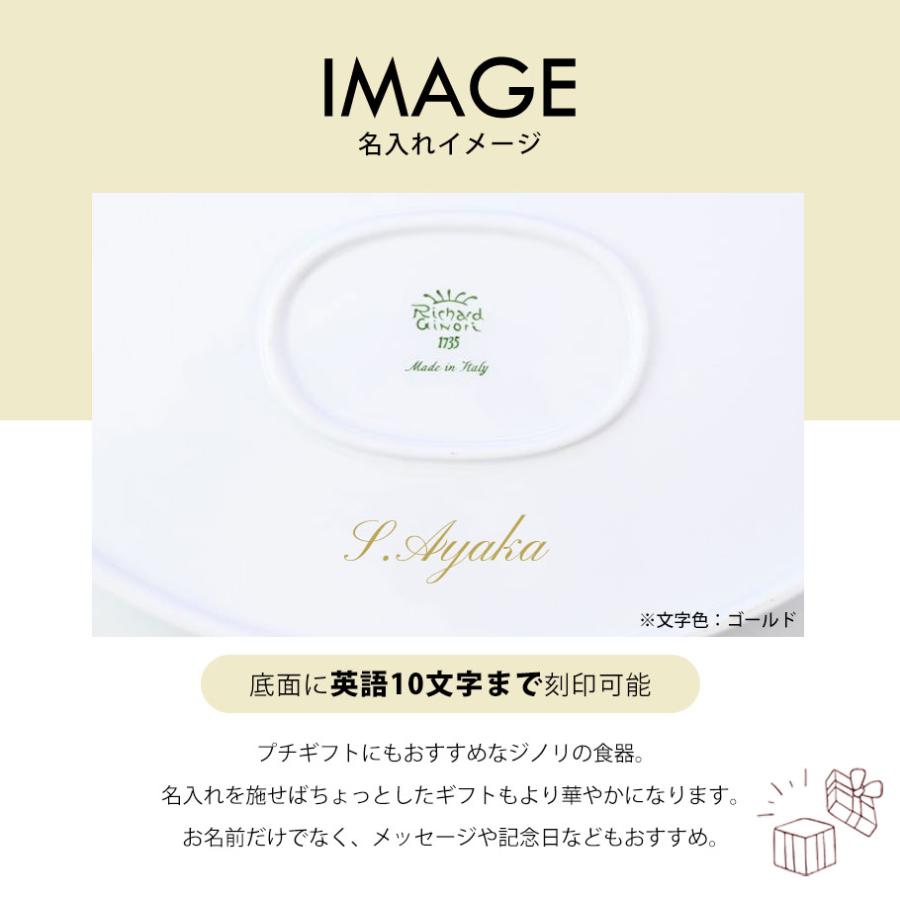 Richard Ginori リチャードジノリ プレート オーバルプラター Richard Ginori リチャードジノリ プレート オーバルプラター