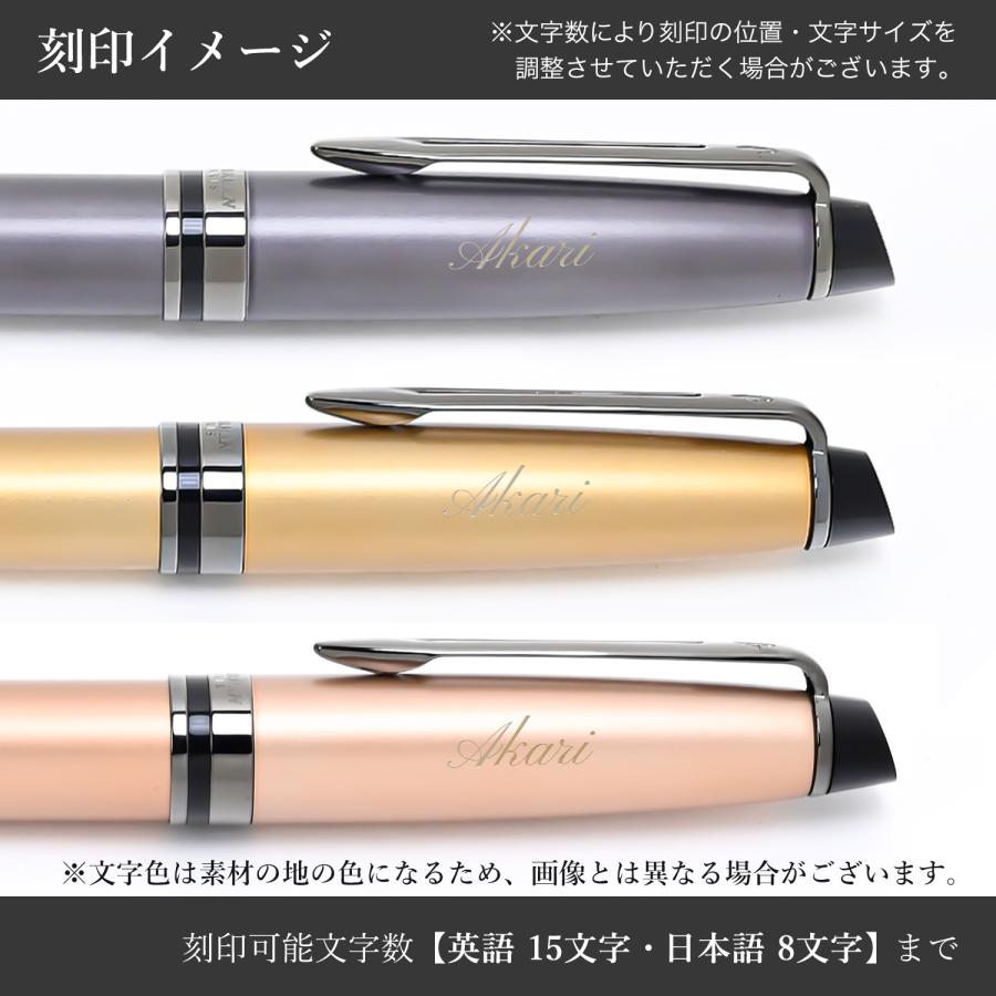 WATERMAN ウォーターマン 万年筆 メンズ レディース