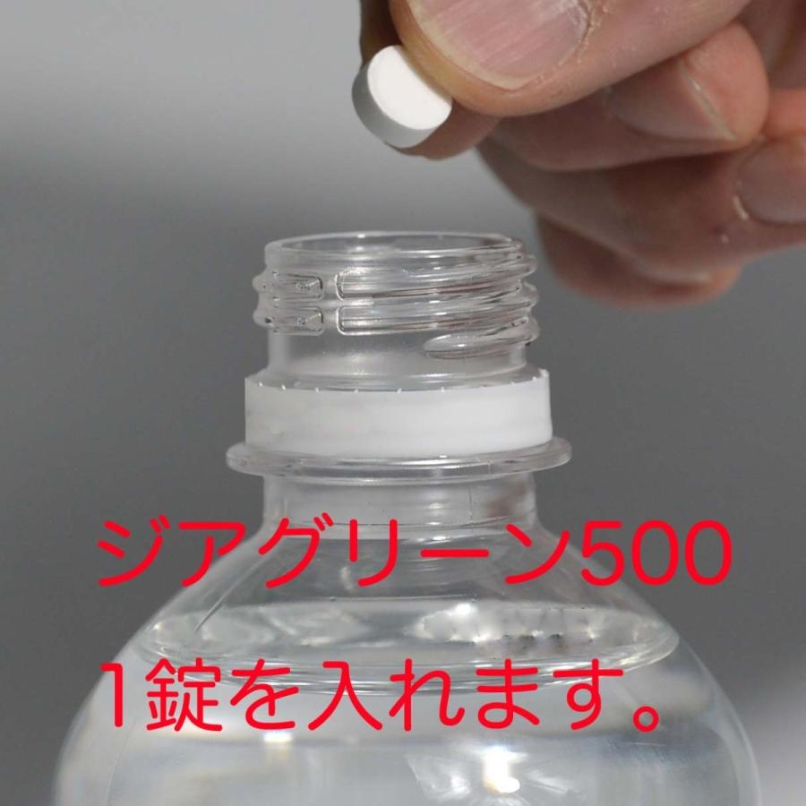 微酸性 次亜塩素酸水　除菌消臭スプレー　ジアグリーンタブレット500 （05g 5錠入）6箱セット:30錠 |  | 07
