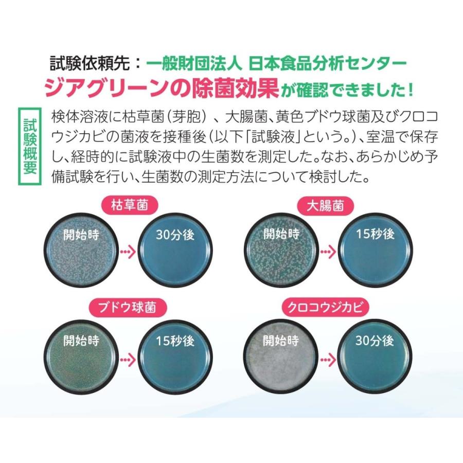 微酸性 次亜塩素酸水　除菌消臭スプレー　ジアグリーンタブレット500 （05g 5錠入）6箱セット:30錠 |  | 03