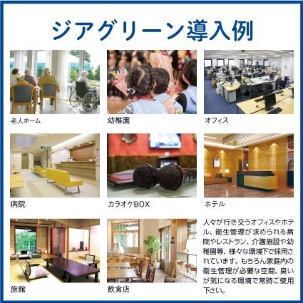 微酸性 次亜塩素酸水　除菌消臭スプレー　ジアグリーンタブレット500 （05g 5錠入）6箱セット:30錠 |  | 05