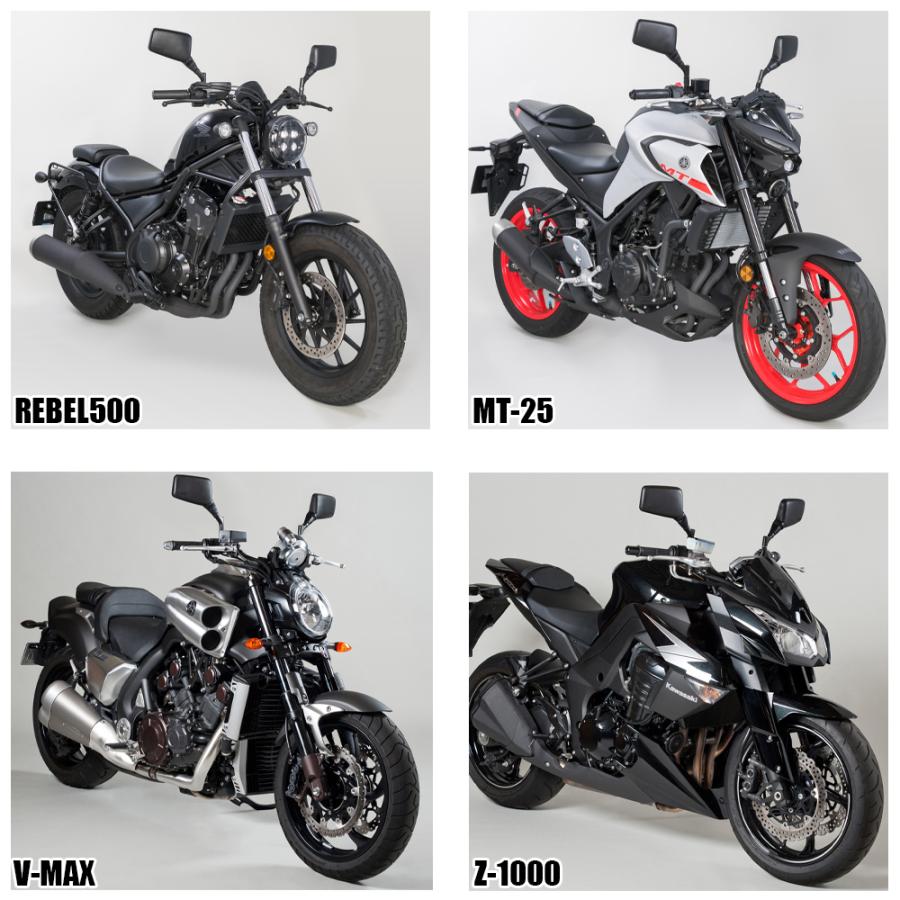 NAPOLEON TANAX クロス2 ハンドルマウントミラー ブラック レイセーブ