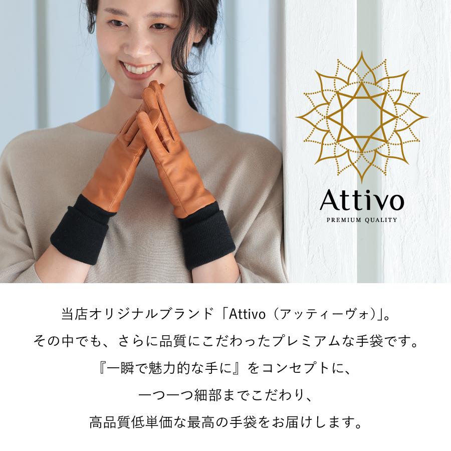 革手袋 レディース ロング丈 スマホ対応 本革 レザーグローブ 裏地カシミヤ100％ ブランド Attivo ATLC103 | Attivo | 11