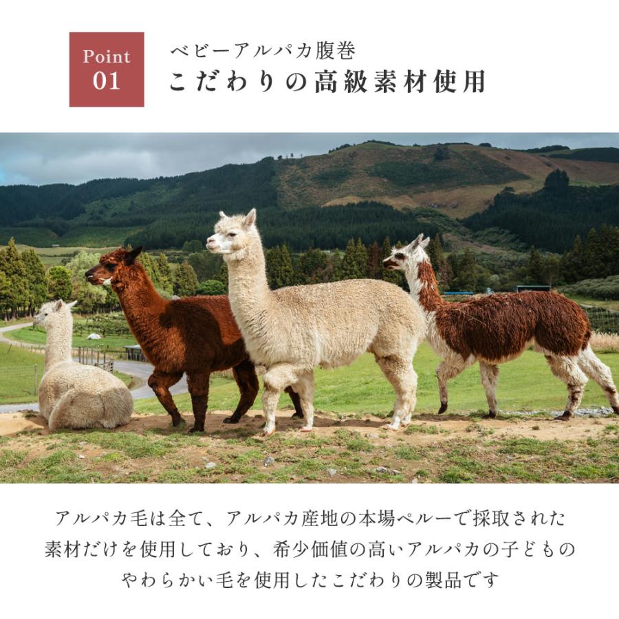 腹巻 レディース 薄手 アルパカ 温活 女性 保温 防寒 はらまき 妊婦 冷え予防 秋冬 妊活 CS |  | 06