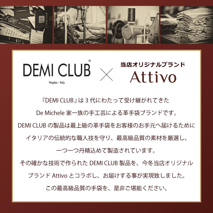革手袋 レディース ブランド イタリア製 Demi Club 裏地カシミヤ100 リボン付き 羊革 女性 高級 クリスマスプレゼント 女性 彼女 Dcdn1724 アレグレット 日傘 Uv 帽子 手袋 通販 Yahoo ショッピング