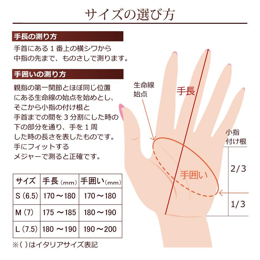 手袋 レディース 革 ブランド スマホ レザー  デミクラブ リボン |  | 07