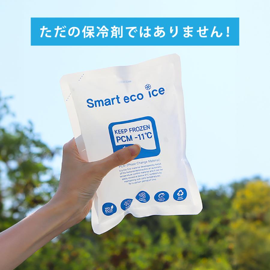 PCM保冷剤 2個セット 保冷バッグ付 熱中症 暑さ対策グッズ ネックバンド スマートエコアイス |  | 02