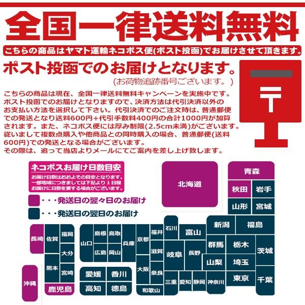 ホンダ エイプ APE100 '02-'12 用 スロットルワイヤー  ステンメッシュ 純正長 100 200 300mmロング | ブランド登録なし | 02