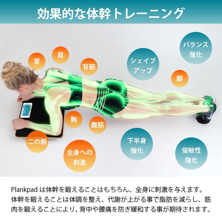 体幹トレーニング 器具 バランスボード木製 体幹 バランスボードpro 自宅でできる筋トレ ブランクパッド プロ ダイエット器具 おうち時間を楽しむ |  | 06