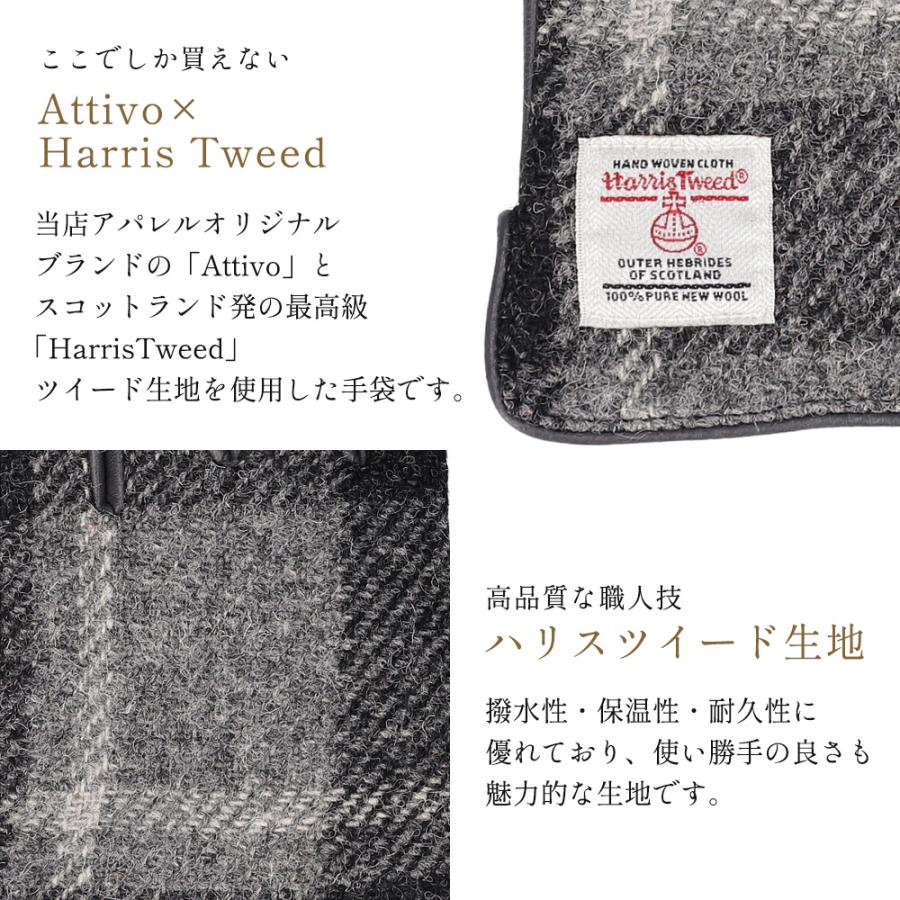 カシミヤマフラー 革手袋 レディース クリスマス プレゼント セット ギフトボックス ハリスツイード 贈り物 記念日 誕生日 お祝い 女性 妻 | HARRIS TWEED | 06