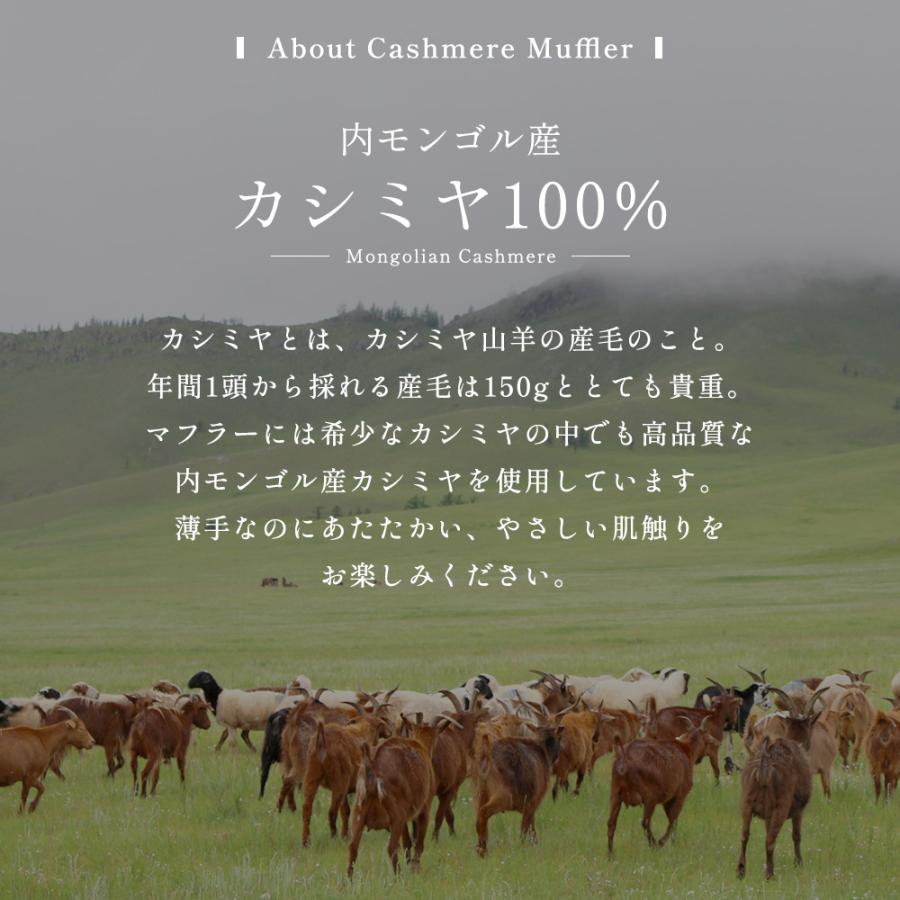 カシミヤマフラー 革手袋 メンズ クリスマス プレゼント セット ギフトボックス ハリスツイード 誕生日 記念日 お祝い 男性 旦那 | HARRIS TWEED | 08