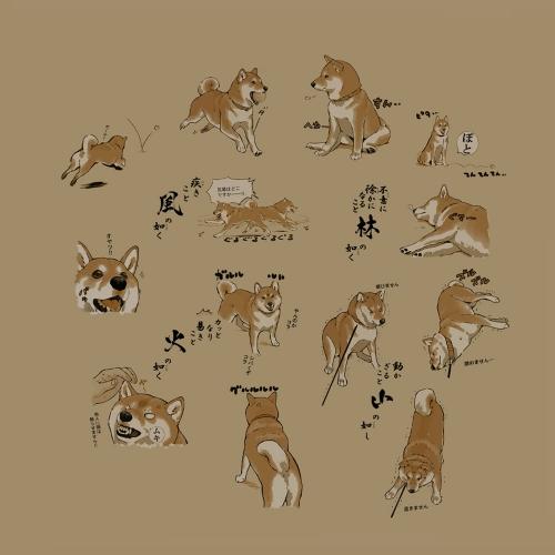 世界の終わりに柴犬と 風林火山 Tシャツ SAND KHAKI Mサイズ コスパ【予約/8月上旬】｜alice-sbs-y｜02