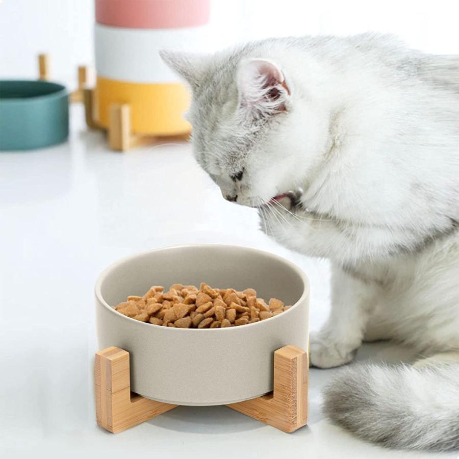 売れ筋ランキングも 水飲み器 猫 犬 水入れ 灰色 小型犬用食器 陶器 ウォーターボウル ペットボウル 猫用 食器 皿 食べやすい ご飯 餌入れ 850mlフードボウル 鉄製餌台付き 食器 餌やり 水やり用品
