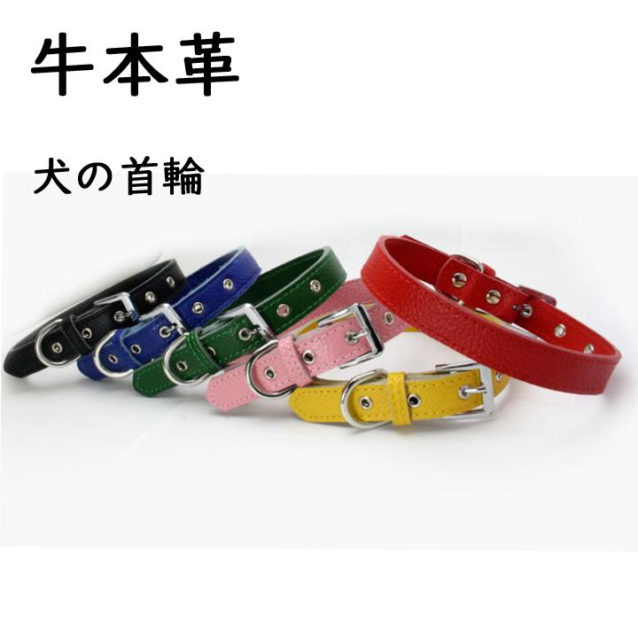 犬 首輪 犬首輪 牛本革 無地 おしゃれ 犬の首輪 かわいい 迷子札 中型犬 小型犬 小型犬用 いぬ くびわ レザー 軽い 柴犬 チワワ Wjv9waa8b1 Www Familyontour De