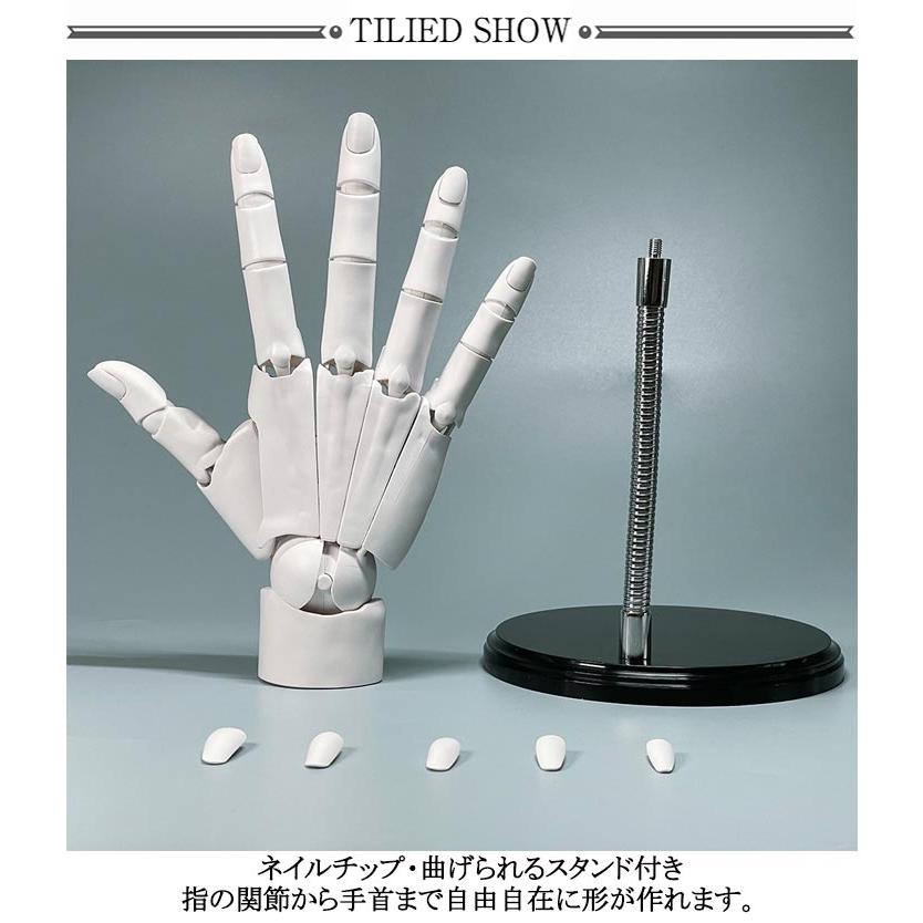 エイリアン/Alien】可動関節式！超リアル実物大 フェイスハガー3D