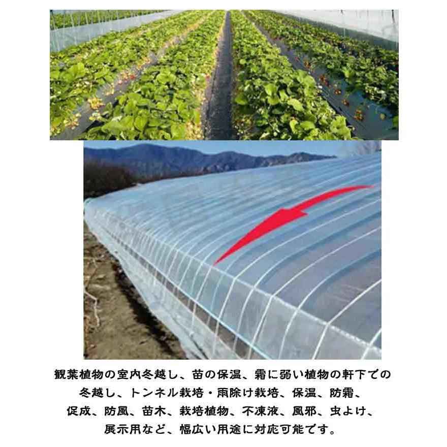 家庭菜園 農業用ビニール 農PO シート 家庭用 長さ10m 農業用ビニール