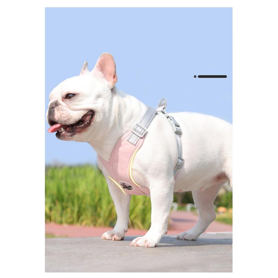 お散歩 リード セット チワワ 小型犬 負担軽減 ハーネス 超軽量 犬用