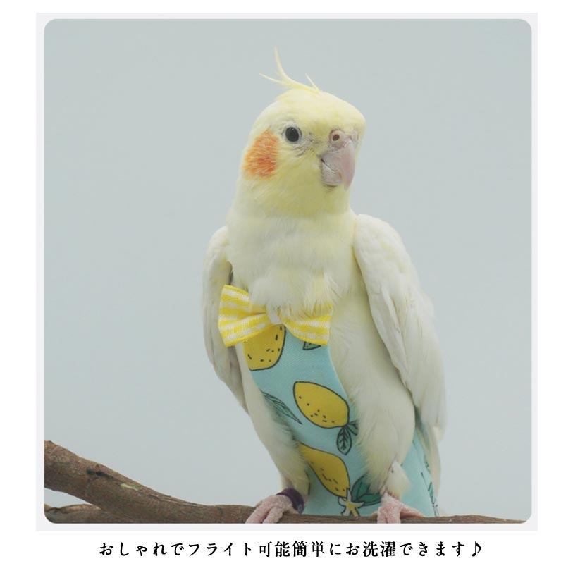 鳥用おむつ 鳥 インコ おむつ インコ鳥 お出かけ ペット