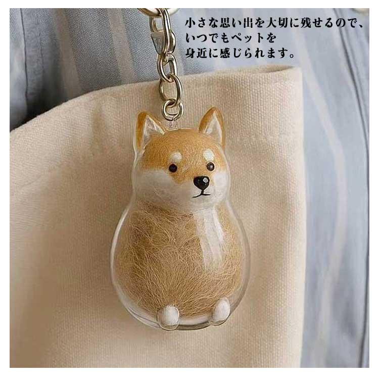 ケース サモエド コーギー ペット 透明 遺毛 犬型収納ボックス 遺毛