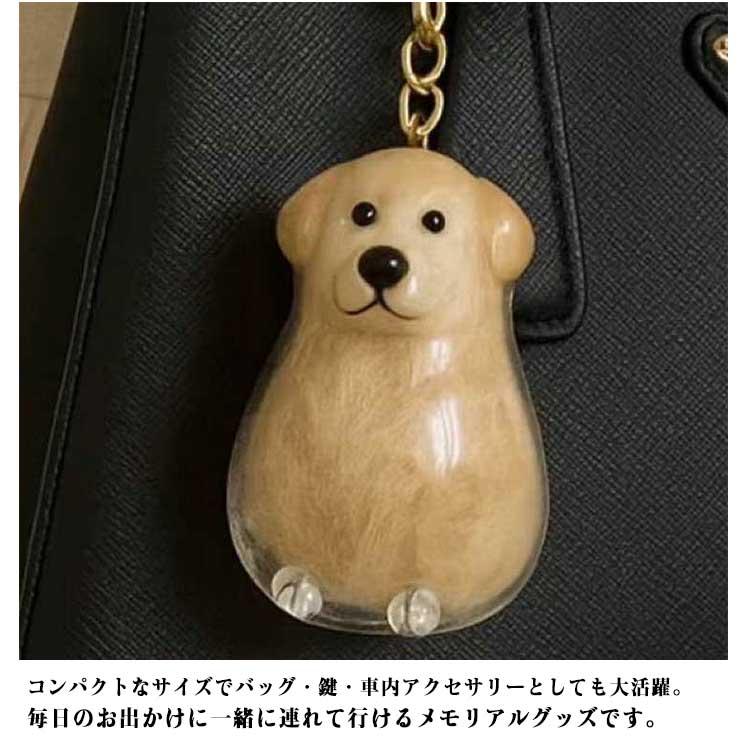 ケース サモエド コーギー ペット 透明 遺毛 犬型収納ボックス 遺毛