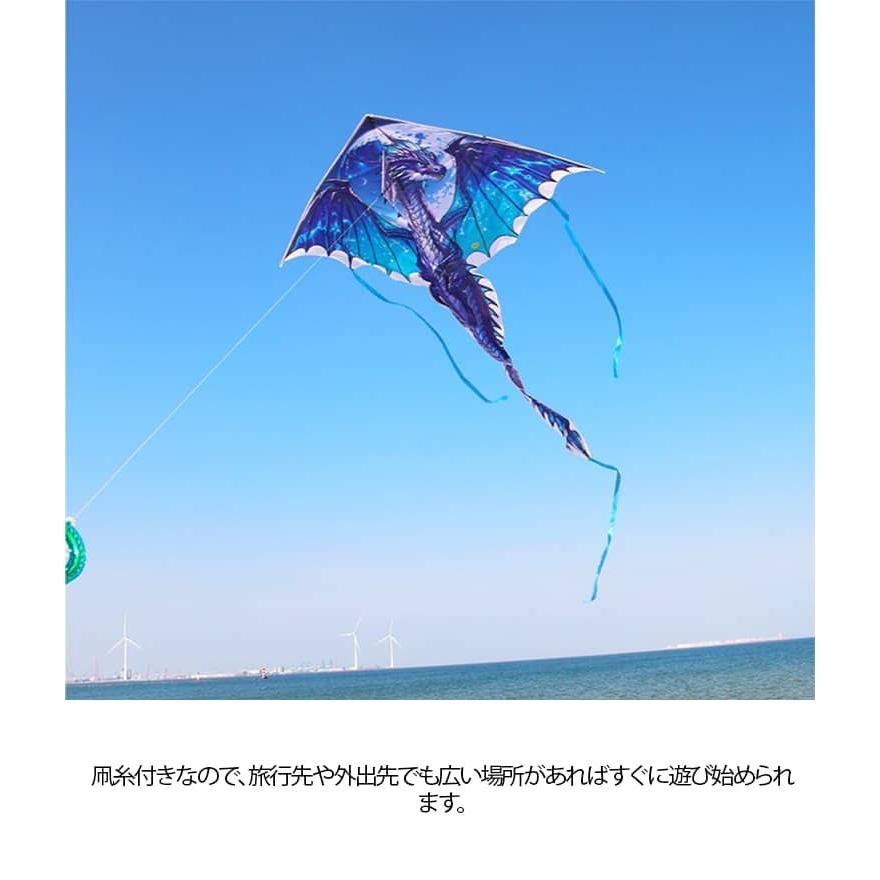 龍 タコ揚げ 凧揚げ 紙鳶 凧上げ カイト おもちゃ 玩具 ドラゴン 外