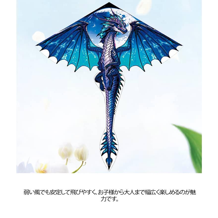 龍 タコ揚げ 凧揚げ 紙鳶 凧上げ カイト おもちゃ 玩具 ドラゴン 外