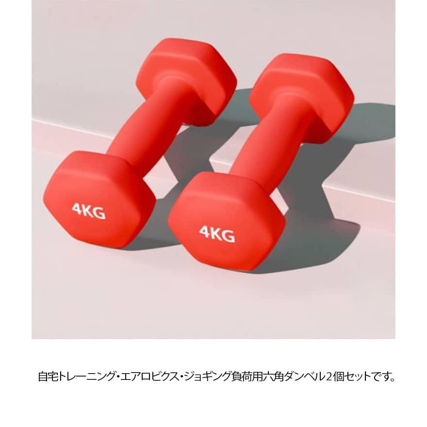 2kg×2個（総重量4kg）ソフトコーティングで 2個セット ダンベルセット
