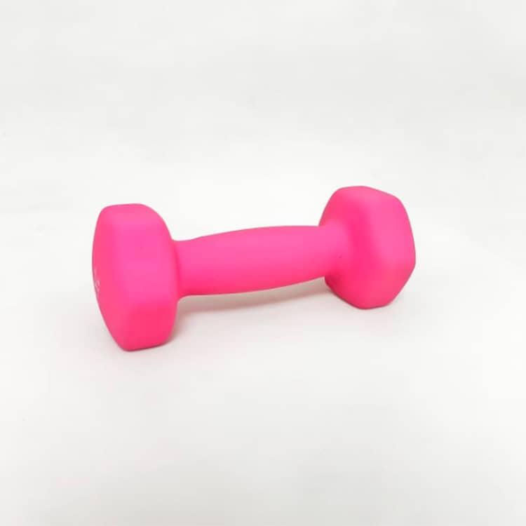 2kg×2個（総重量4kg）ソフトコーティングで 2個セット ダンベルセット