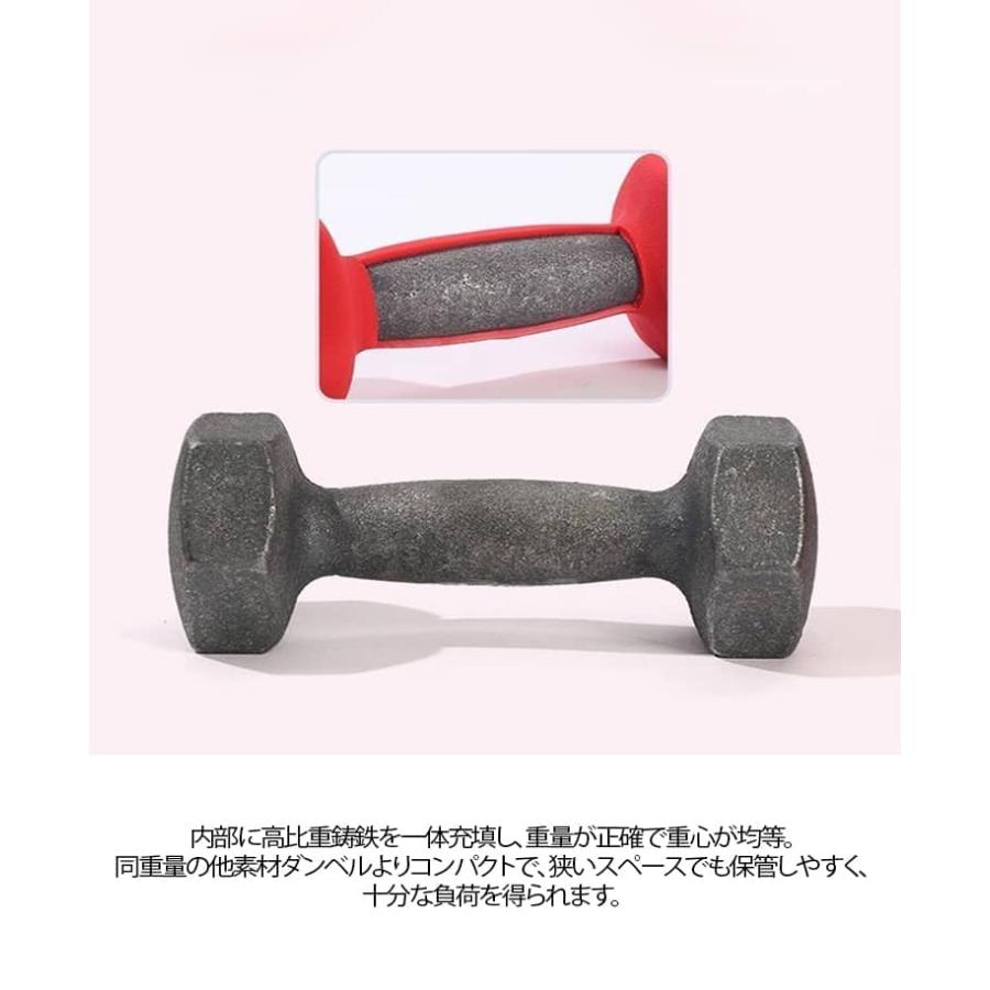 2kg×2個（総重量4kg）ソフトコーティングで 2個セット ダンベルセット