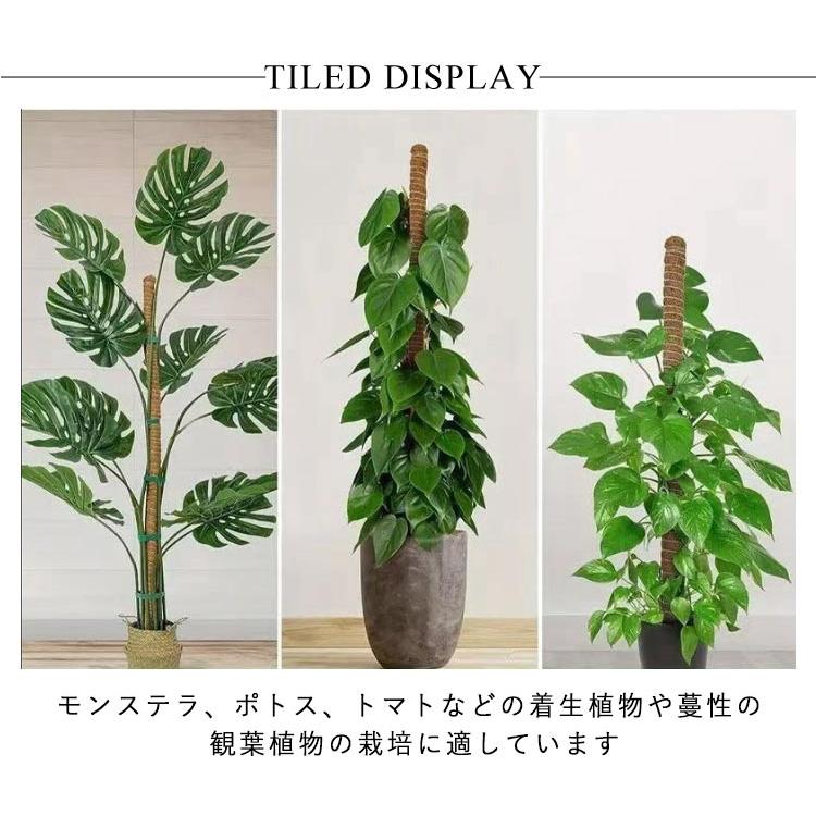 ココスティック おしゃれ 植物支柱 モンステラ 観葉植物 ガーデニング