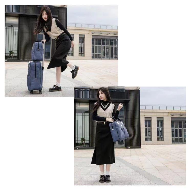 希少　BORBONESE ボルボネーゼ  ソフトキャリーバッグ　キャリーケース 希少 BORBONESE ボルボネーゼ ソフトキャリーバッグ キャリー