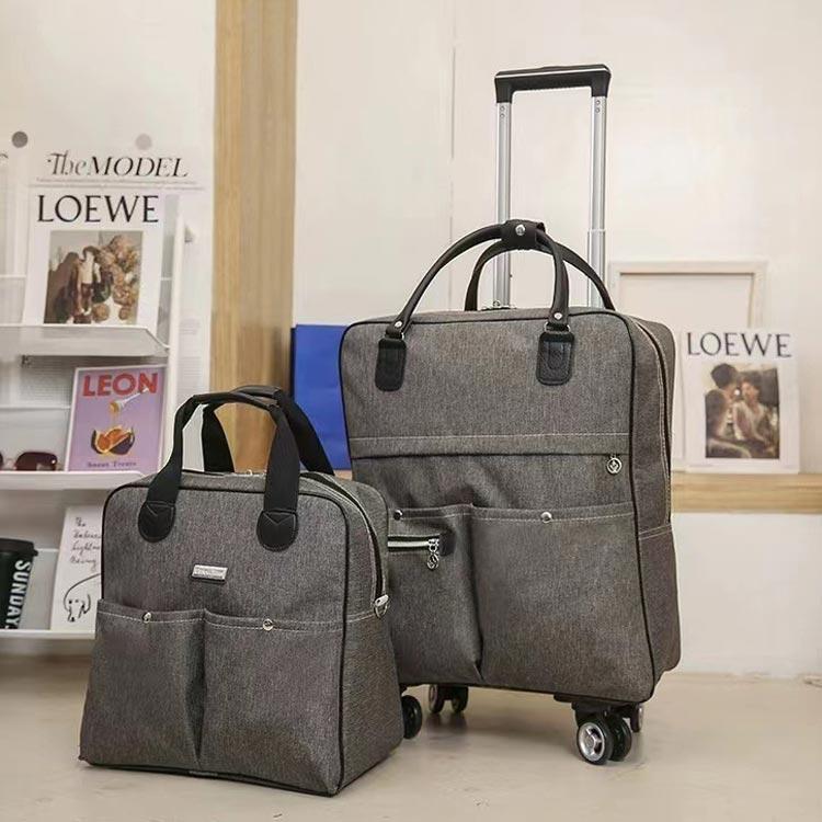 機内持ち込み キャリーバッグ 2点セット ソフトキャリーバッグ スーツ