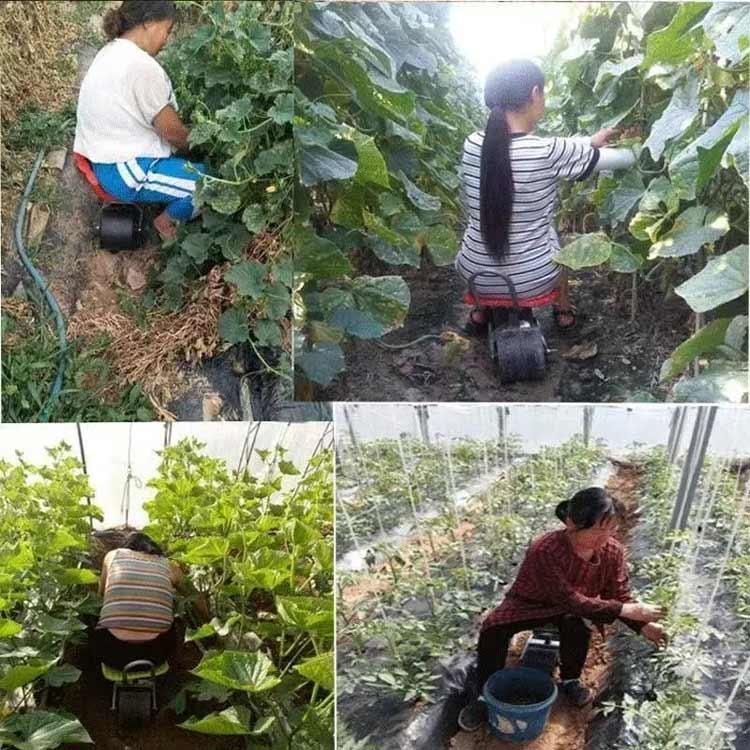 選べる3タイプ 腰掛け台車 座面高さ調節 大型タイヤ付き 回転式 作業イス ガーデンチェアー 農作業用 椅子 イス 背もたれ付き 腰掛 コロコロ移動ラ |  | 04