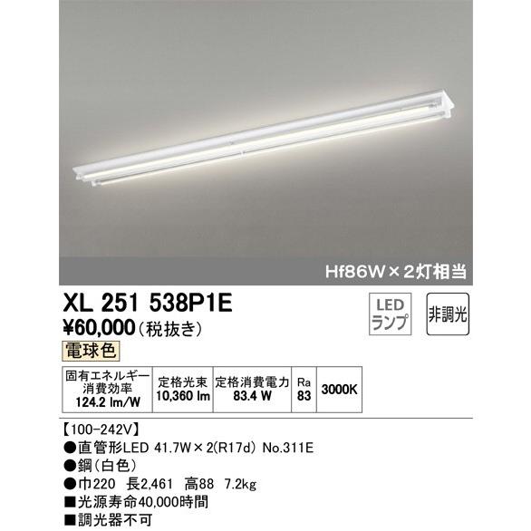 最新型 XL251538P1E ランプ別梱 オーデリック odelic LED照明