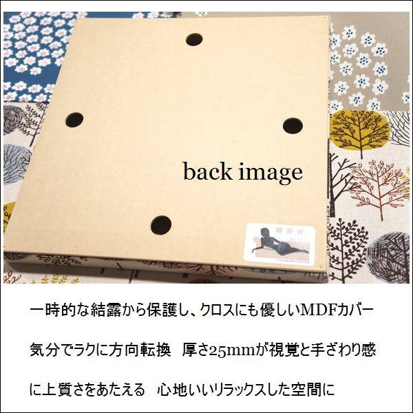 ファブリックパネル 人気 おしゃれ 癒し アートパネル BKF Cloroplast fade 40×40cm 3枚 モデルルーム_6