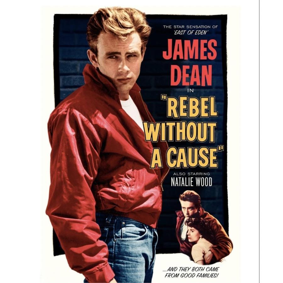 送料無料 ジェームズ ディーン James Dean ポップ アートパネル 壁掛け 据え置き 壁掛けフック付き アーティスト Popパネル 模様替え Art2 Alice Alice ヤフーショッピング店 通販 Yahoo ショッピング