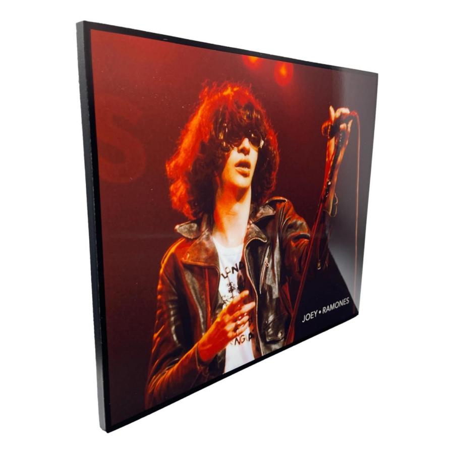 送料無料 ラモーンズ Ramones ジョーイ ラモーン Joey Ramone ポップ アートパネル 壁掛け 据え置き 壁掛けフック付き アーティスト Popパネル 模様替え Art215 Alice Alice ヤフーショッピング店 通販 Yahoo ショッピング