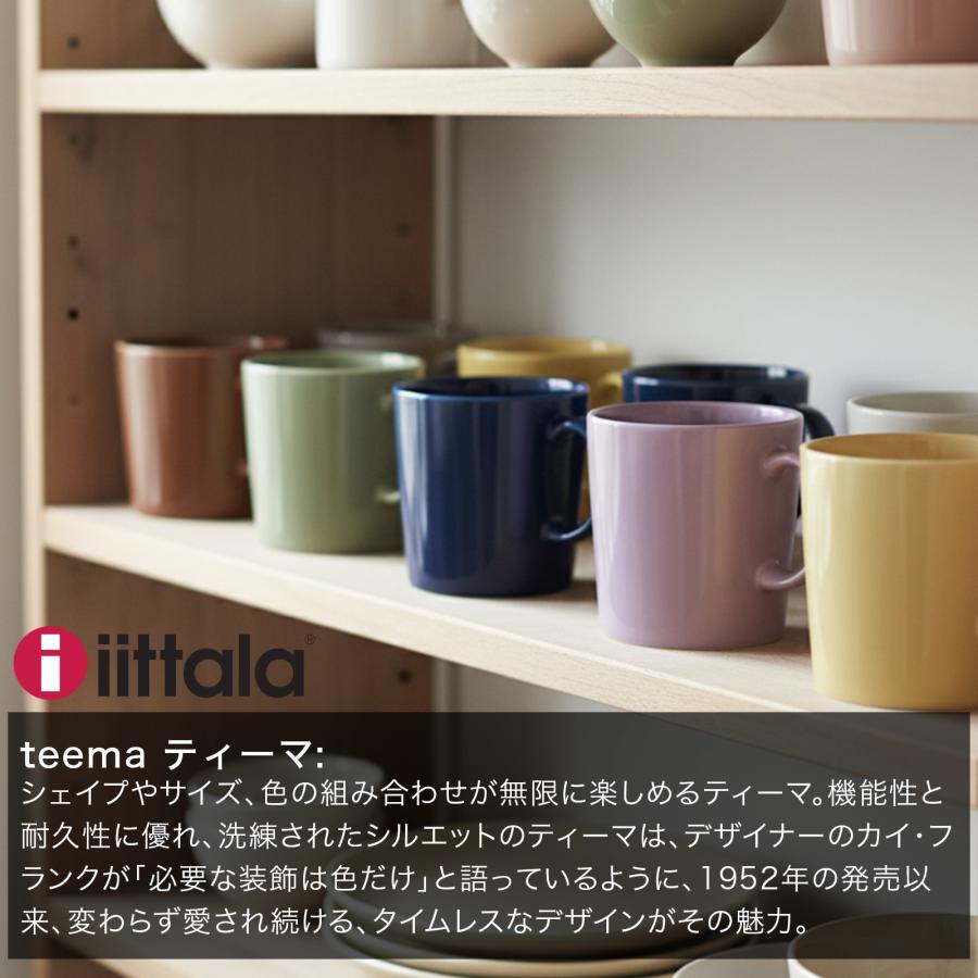 iittala（イッタラ） 【正規取扱店 ラッピング可能】 ティーマ