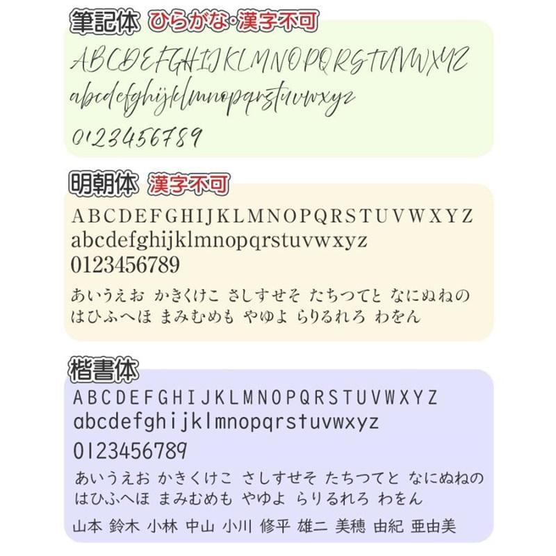 【18ヶ月保証 名入れ対応品】 アンカー イヤホン 耳 塞がない ワイヤレス Anker Soundcore AeroClip ブラック ピンク ホワイト 名前 刻印 ラッピング Bluetooth_2