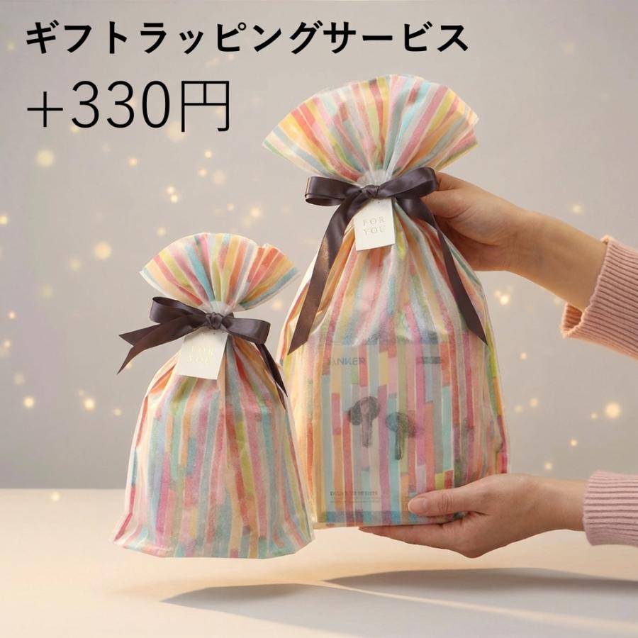 18ヶ月保証 アンカー ワイヤレスイヤホン リバティ4 プロ 長時間再生 短時間充電 A3954 Anker Soundcore Liberty 4 Pro ワイヤレス イヤホンの画像