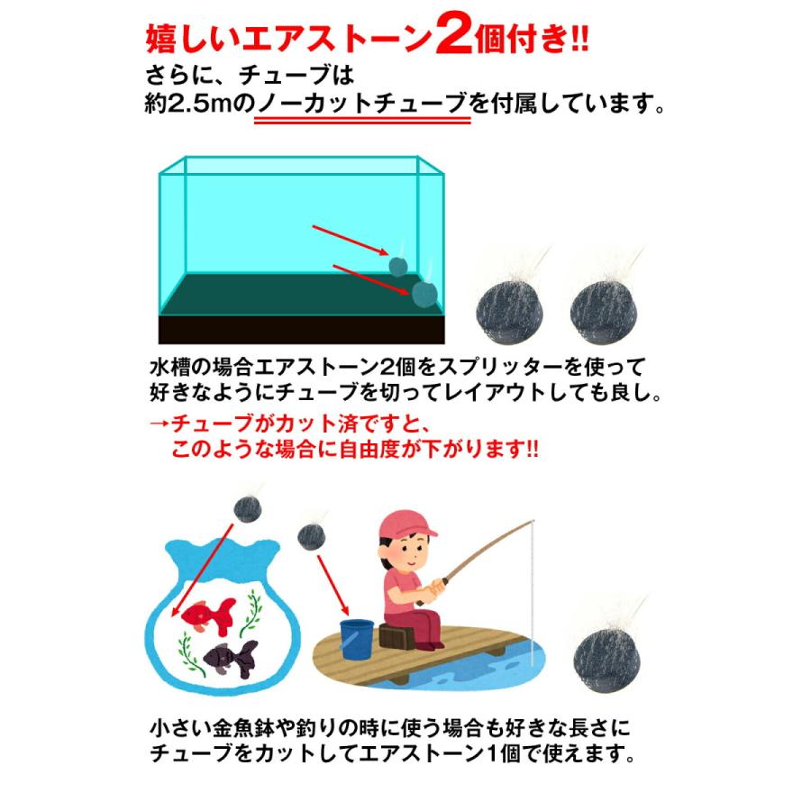 税込 エアーポンプ エアポンプ ソーラー充電式 水槽 充電式 釣り バッカン ライブウェル ポンプ 静音 ブクブク 携帯 メダカ アクアリウム 金魚鉢 Wantannas Go Id