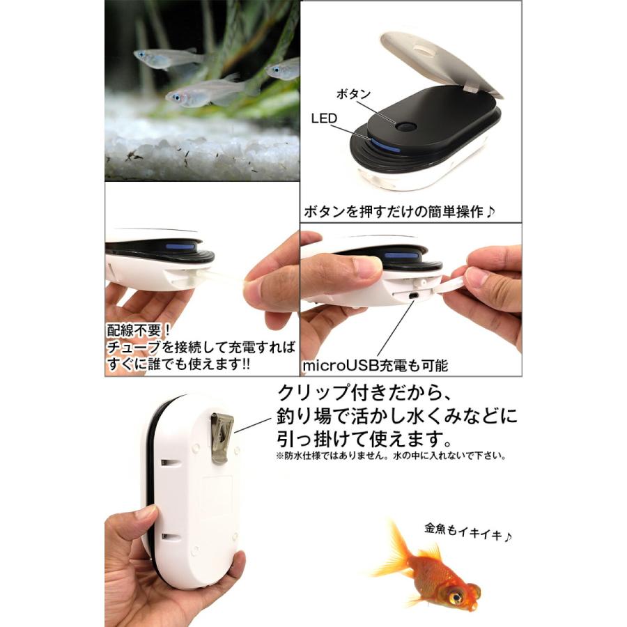 税込 エアーポンプ エアポンプ ソーラー充電式 水槽 充電式 釣り バッカン ライブウェル ポンプ 静音 ブクブク 携帯 メダカ アクアリウム 金魚鉢 Wantannas Go Id