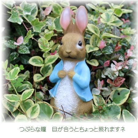 ガーデンオーナメント ピーターラビット(スタンド1)☆ : アリスの時間