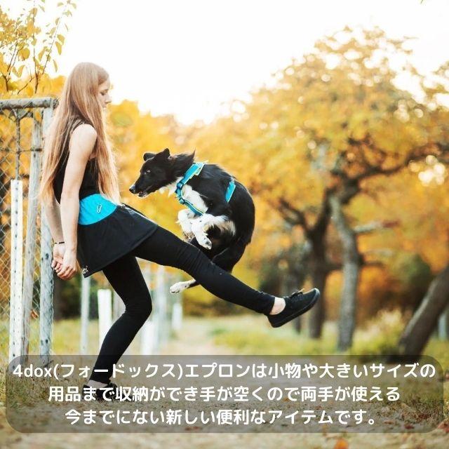 犬のお散歩グッズ トレーニング用品 4dox 犬のお散歩・トレーニング