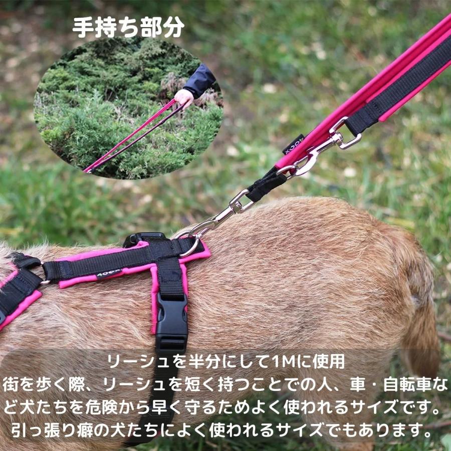 犬用品 犬用リード 4dox スウィッチリーシュ 肩掛け2M/25mm/オレンジ