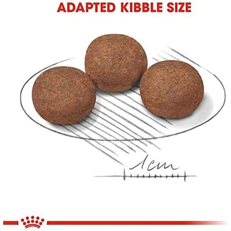 ロイヤルカナン SHN ミディアム ジュニア 犬用 10kg SHN 10kg ロイヤルカナン ミディアム 犬用 ジュニア S1467705772(12984円)