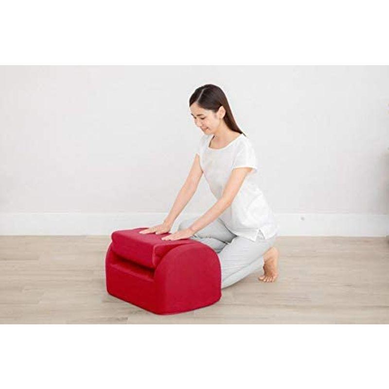 芦屋美整体 シェイプエアープレミアム ダークブラウン